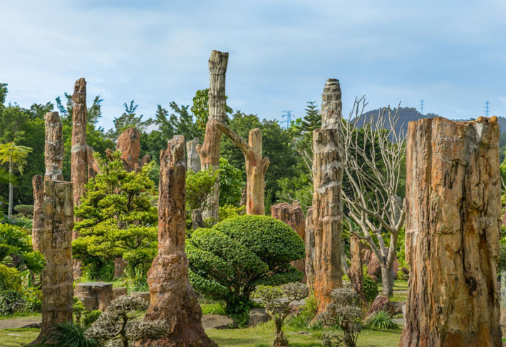 深圳市中國科學院仙湖植物園