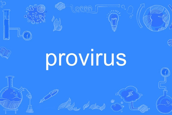 provirus