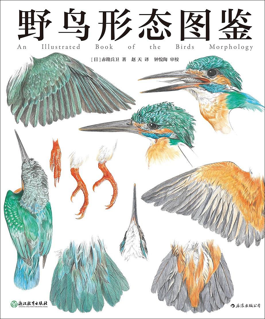 野鳥形態圖鑑