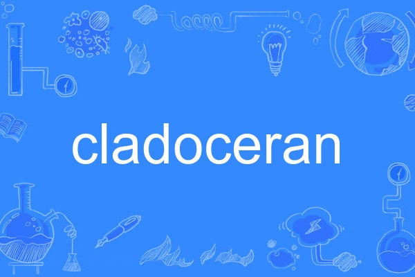 cladoceran