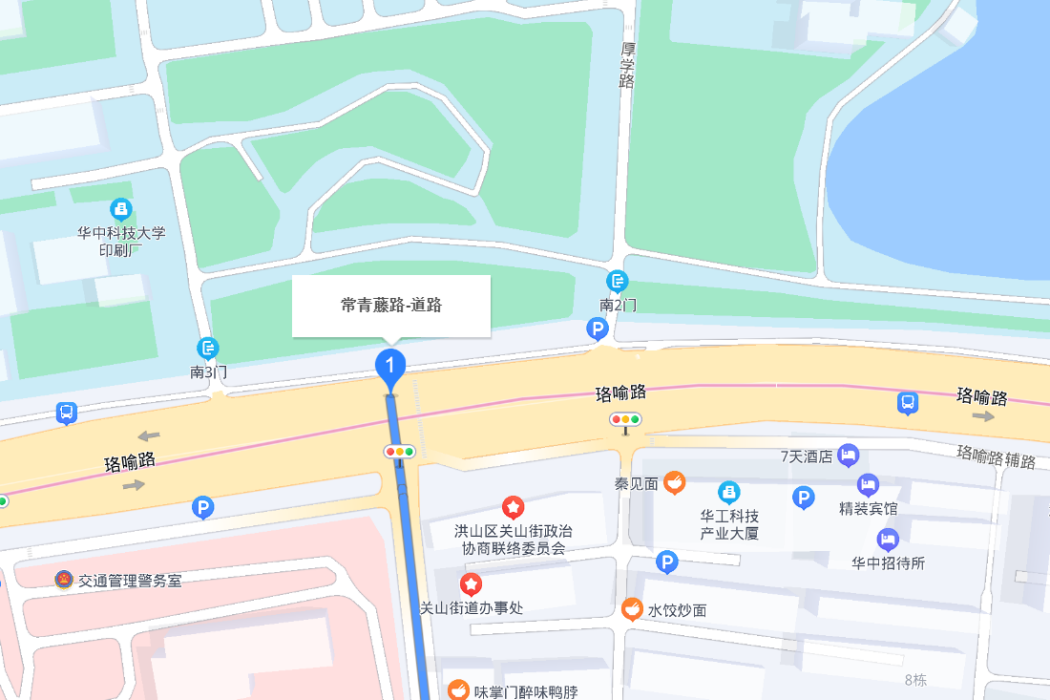 常青藤路(武漢市洪山區境內道路)