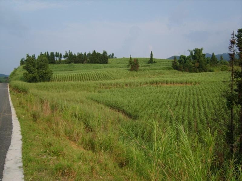 明會自然村