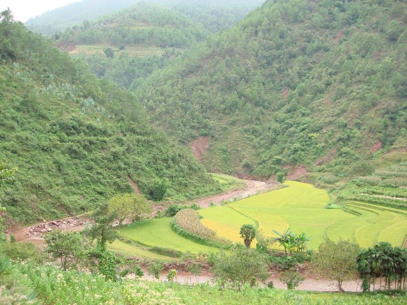 莊房村(雲南省楚雄楚雄市紫溪鎮岔河村委會下轄村)