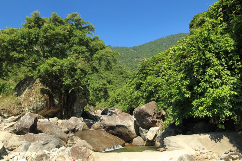 廣東九龍峰省級森林公園