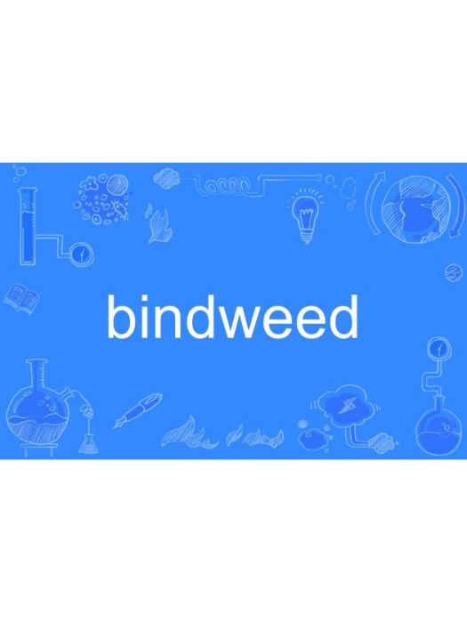 bindweed