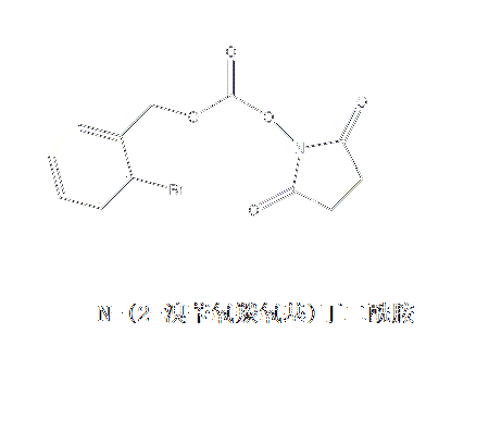 N-（2-溴苄氧羰氧基）丁二醯胺