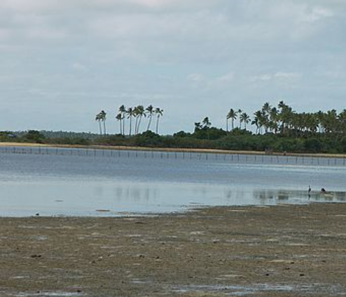 霍尤達潟湖