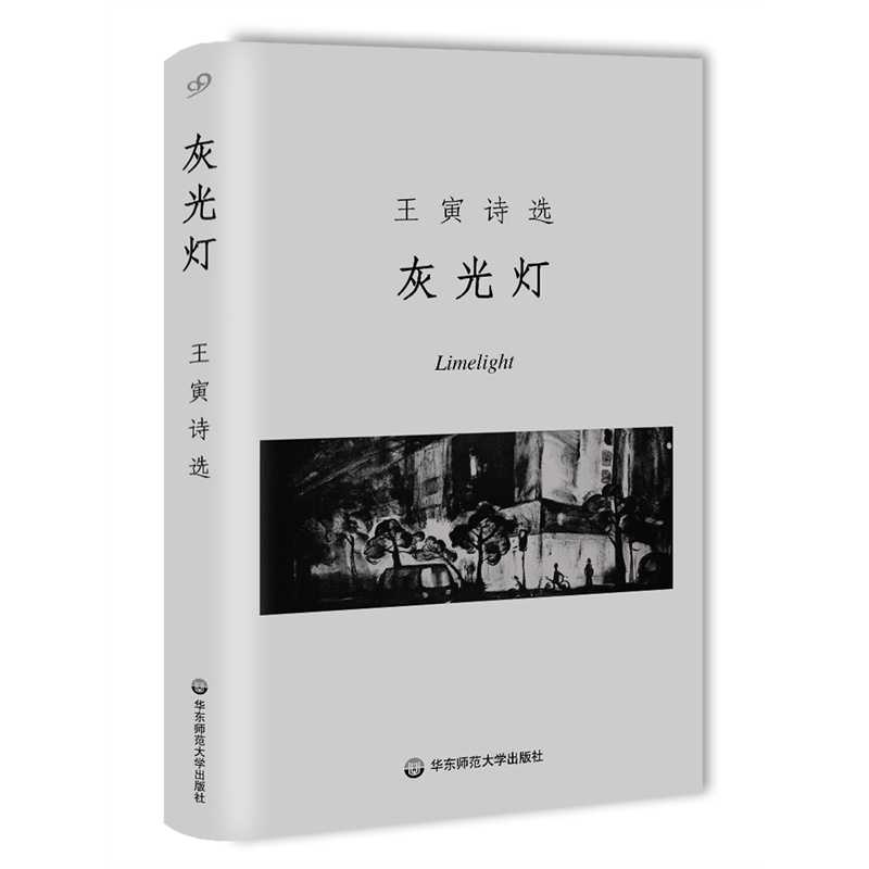 灰光燈(2015年出版圖書)