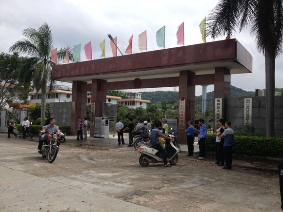 大瑤村(廣西桂林市荔浦市新坪鎮下轄村)