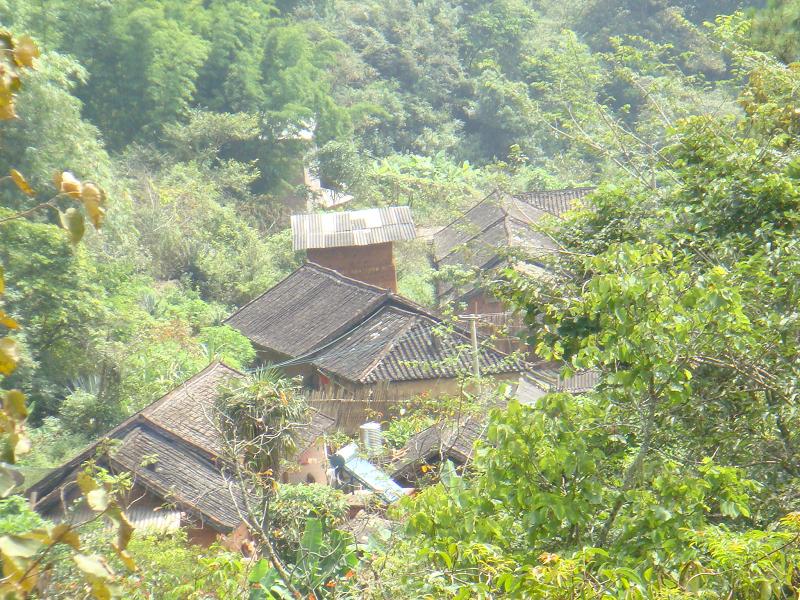 蘆山平掌自然村