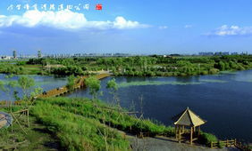 金河灣濕地植物園。