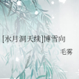 [水月洞天續]博雪向