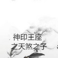 神印王座之天煞之子