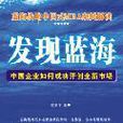 發現藍海：中國企業如何成功開創全新市場