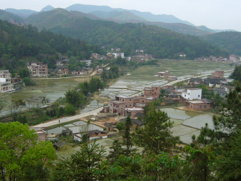 龍川縣新田鎮大嶺村