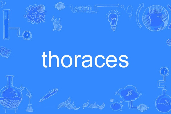 thoraces