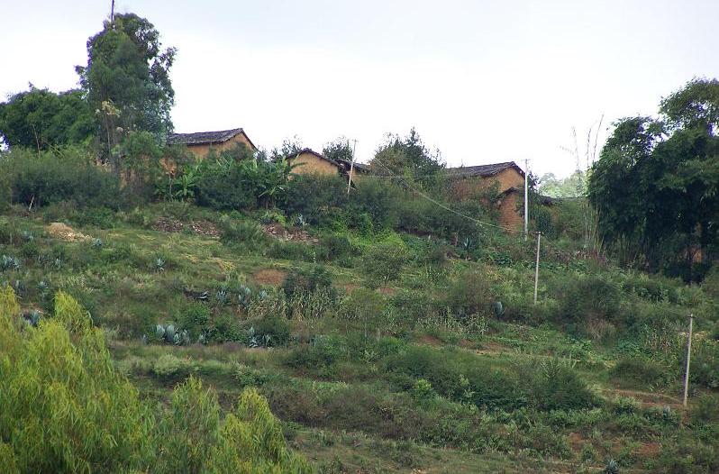 山後自然村(雲南省臨滄雲縣涌寶鎮南糯村委會山後自然村)