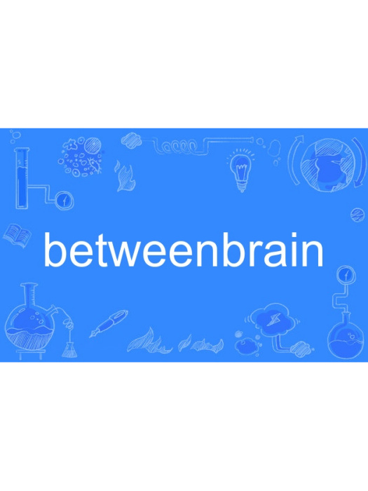 betweenbrain