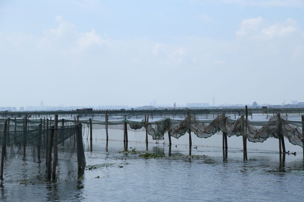 蘇州市湖中庭大閘蟹養殖有限公司