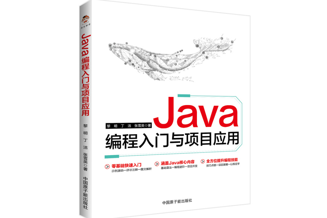 Java編程入門與項目套用