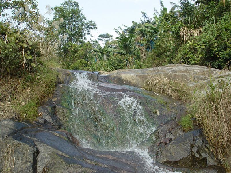 漳州天寶山森林公園