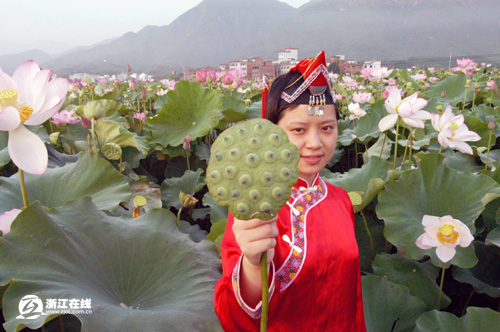 經過改良的“太空宣蓮”蓮蓬碩大