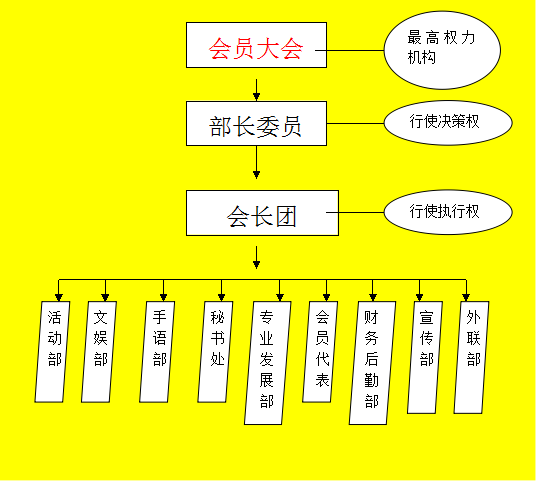 青年社工協會組織結構