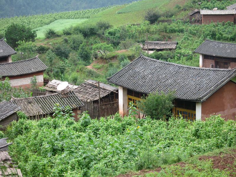 麥架坪下社村