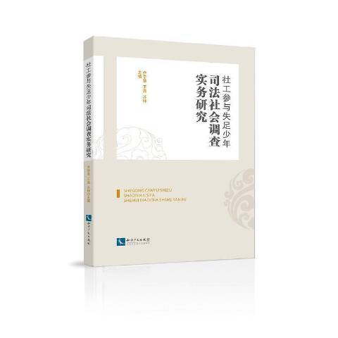 社工參與失足少年司法社會調查實務研究