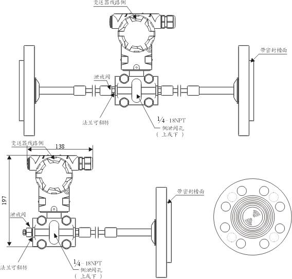 雙法蘭液位變送器安裝圖片