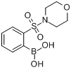 2-嗎啉磺醯基苯硼酸