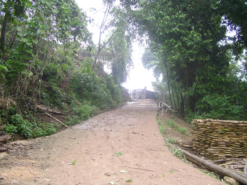 進村道路