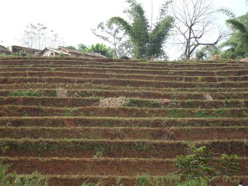 香竹林自然村