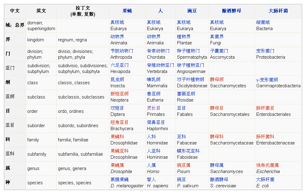 生物分類法