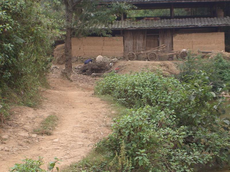 老場自然村(雲南屏邊縣新華鄉下轄村)