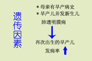 新生兒肺透明膜病 病因