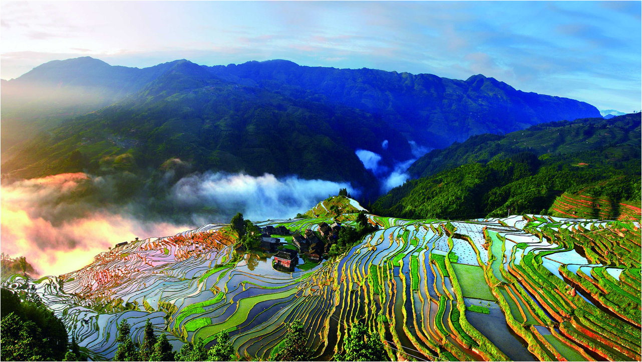 雲貴高原(中國西南部高原)