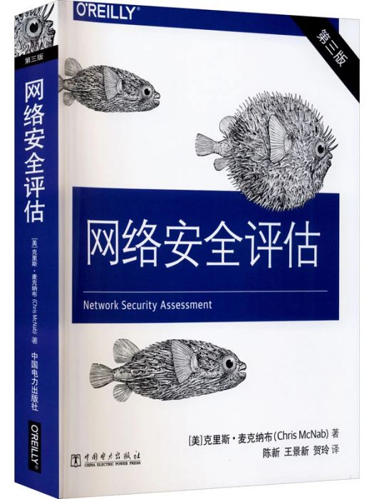 網路安全評估(2021年中國電力出版社出版的圖書)