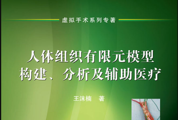 人體組織有限元模型構建、分析及輔助醫療