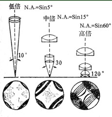 圖2：高倍物鏡的作用