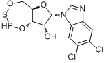 5,6-Dichloro-1-β-D-ribofuranosylbenzimidazole3,5-cyclicMonophosphothioate,Sp-Isomer鈉鹽