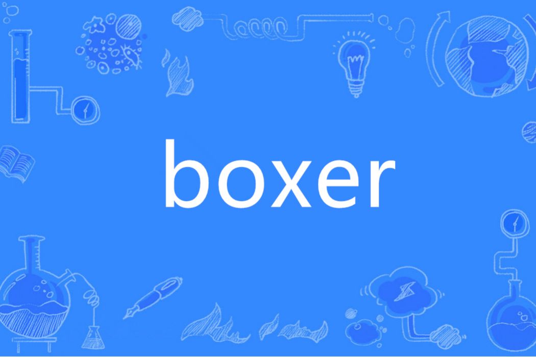 Boxer(英語單詞)