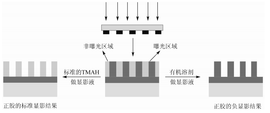 圖1 正性膠的顯影工藝與負性膠顯影工藝對比