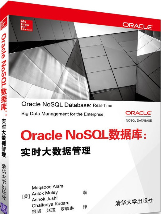 Oracle NoSQL資料庫：實時大數據管理