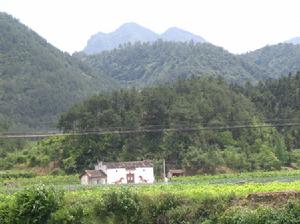 霞霧橋