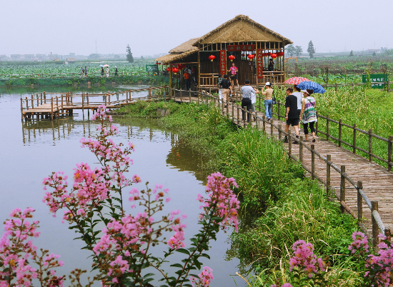 生態農業旅遊