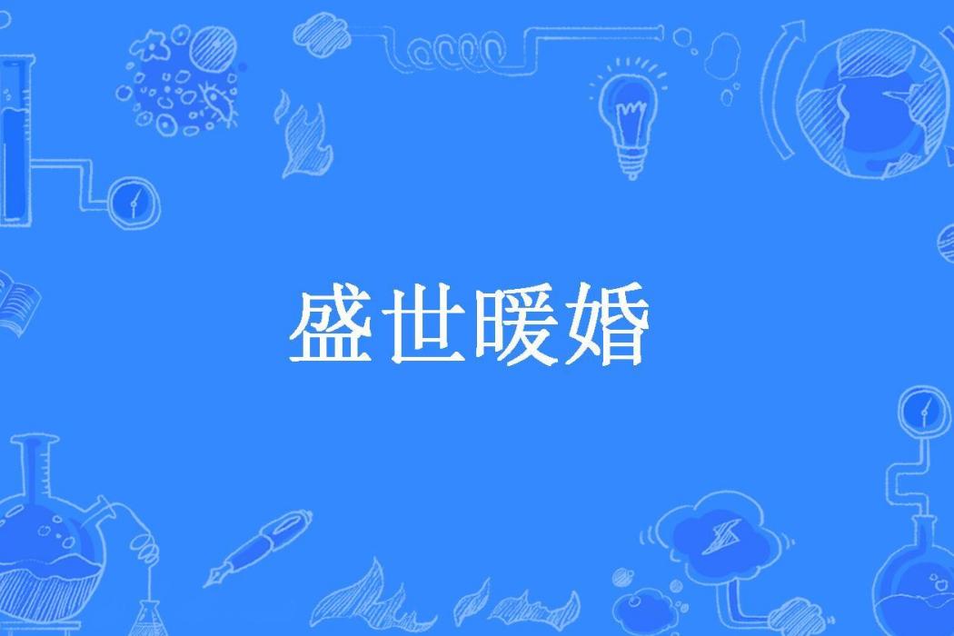 盛世暖婚(懶丫兒所著小說)