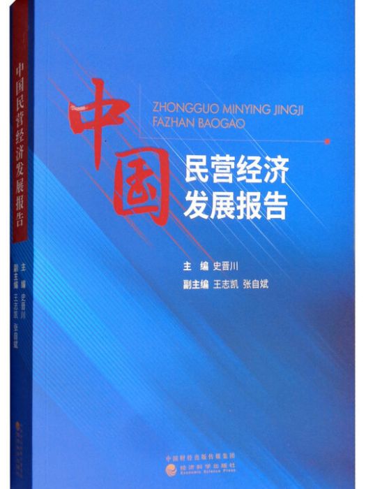 中國民營經濟發展報告(No.2·2004)