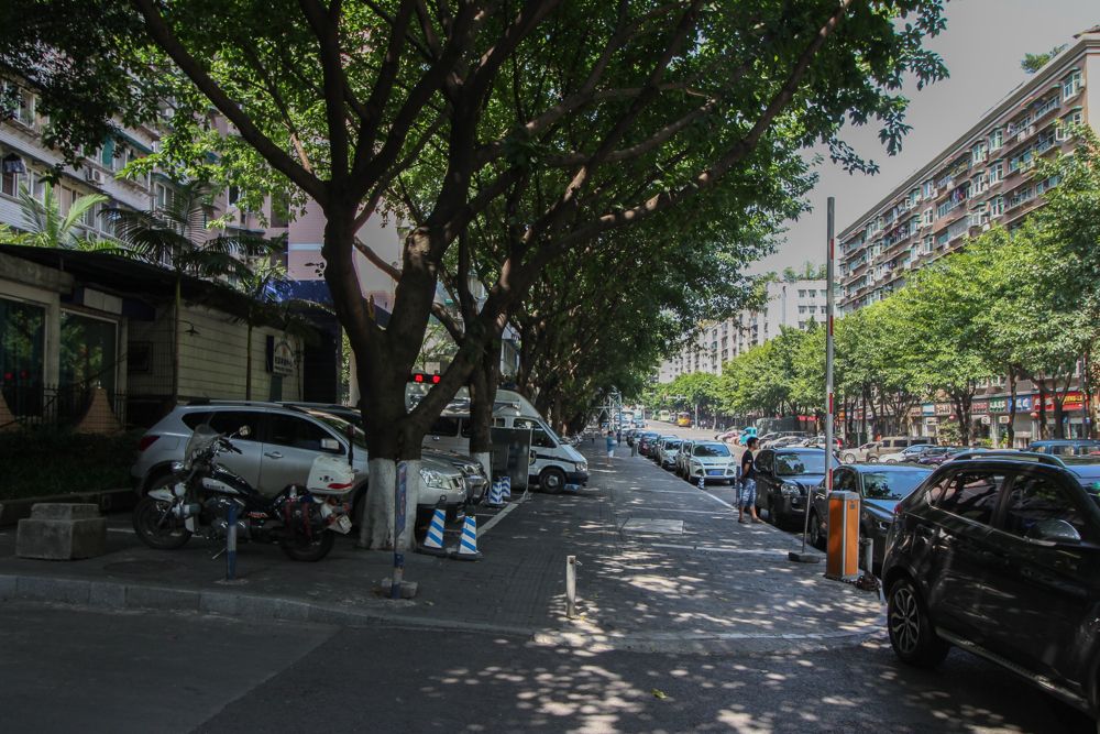 都市花園中路