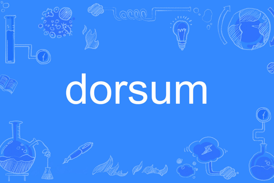 dorsum